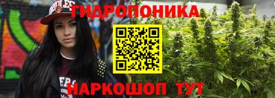 spice Ставрополь