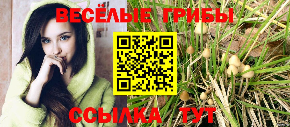 Нижневартовск  Псилоцибиновые грибы мухоморы  Вход с VPN 